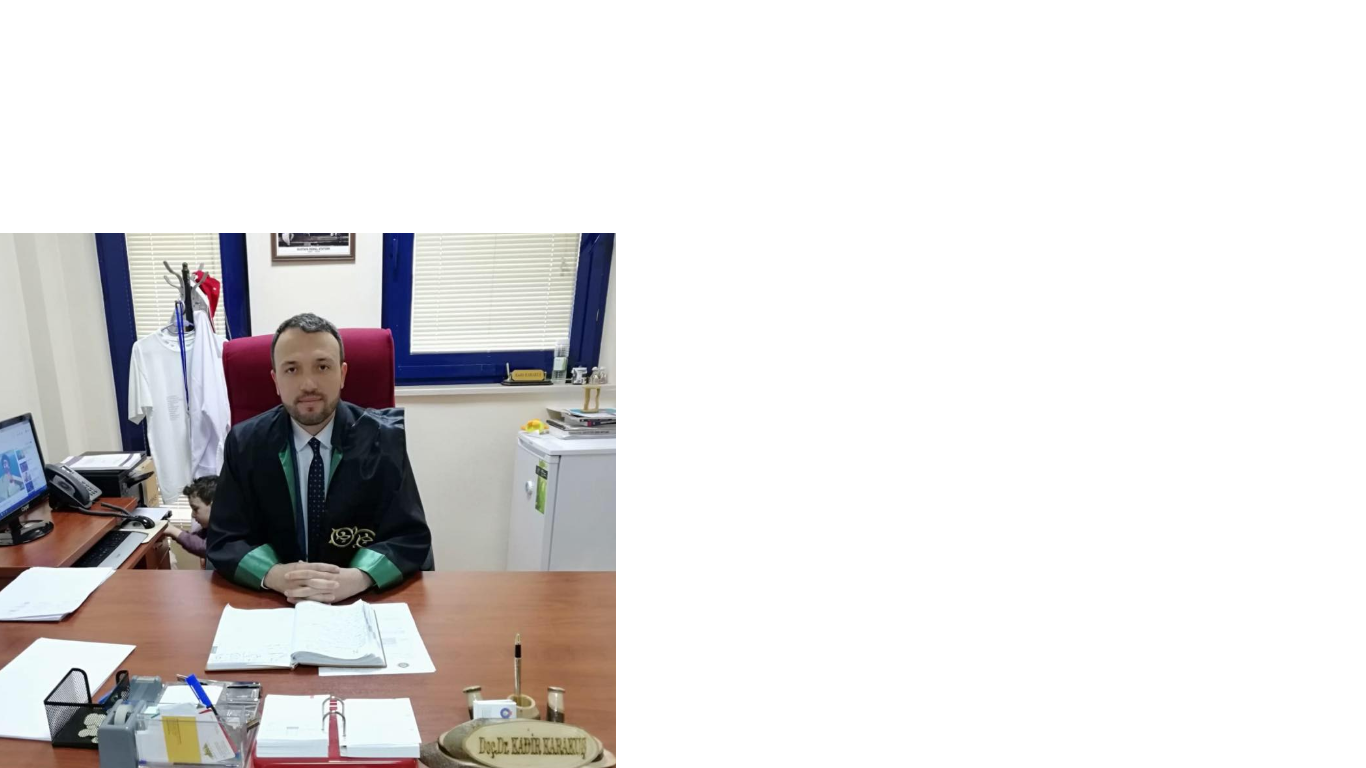 İçerikle ilgili görsel 1